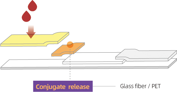 Glass fiber application cbt (4).jpg